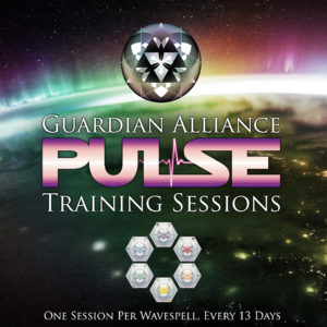 PULSE: Ambassador Training Session