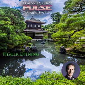 PULSE: Healer Training Session - Healing Environments