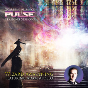 PULSE: Wizard Training Session